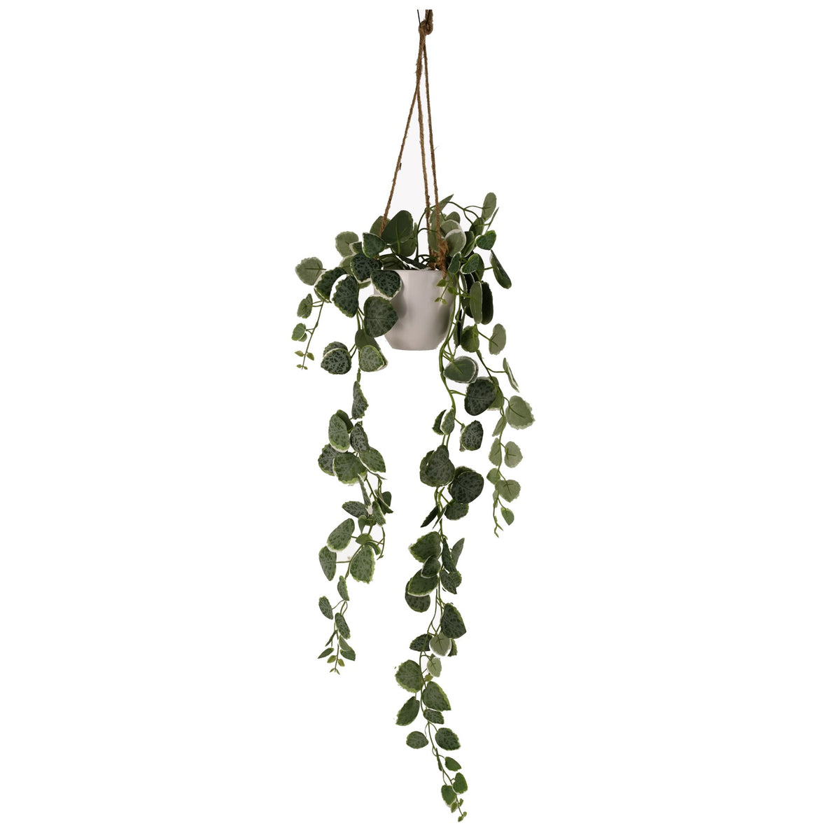 90cm Artificial Potted Hanging Trailing Plant - String of Hearts – image 3