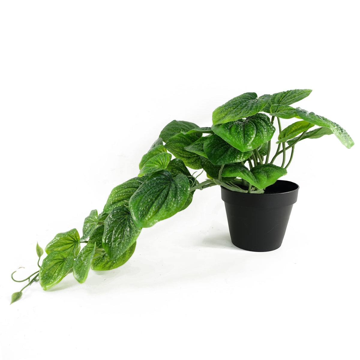 35cm Artificial Trailing Green Potted Pothos Plant – image 6