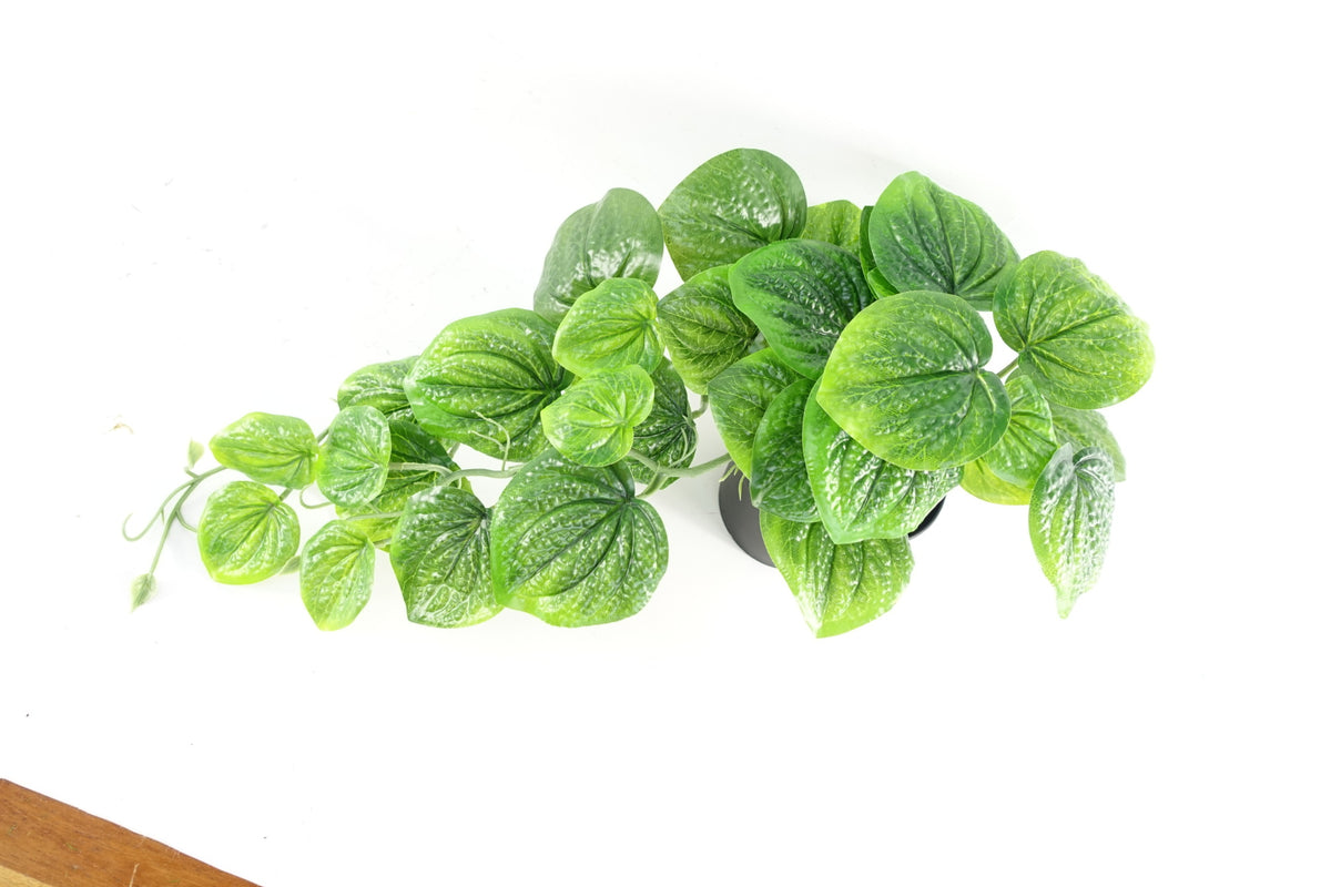 35cm Artificial Trailing Green Potted Pothos Plant – image 7