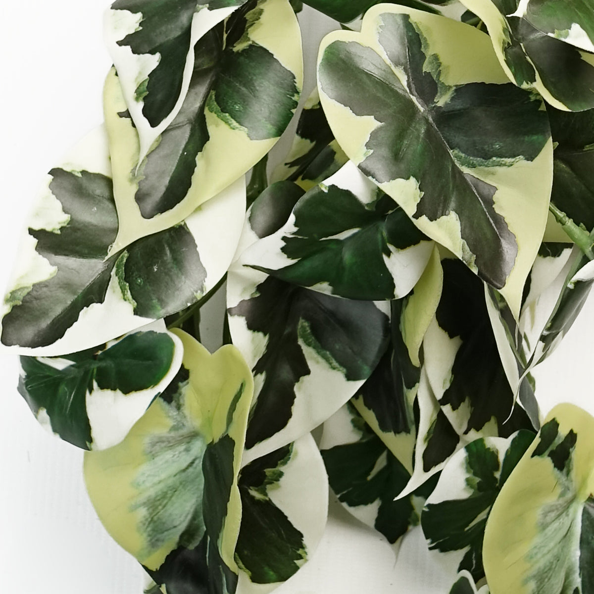 40cm Artificial Trailing Variegated Marble Pothos Plant – image 2