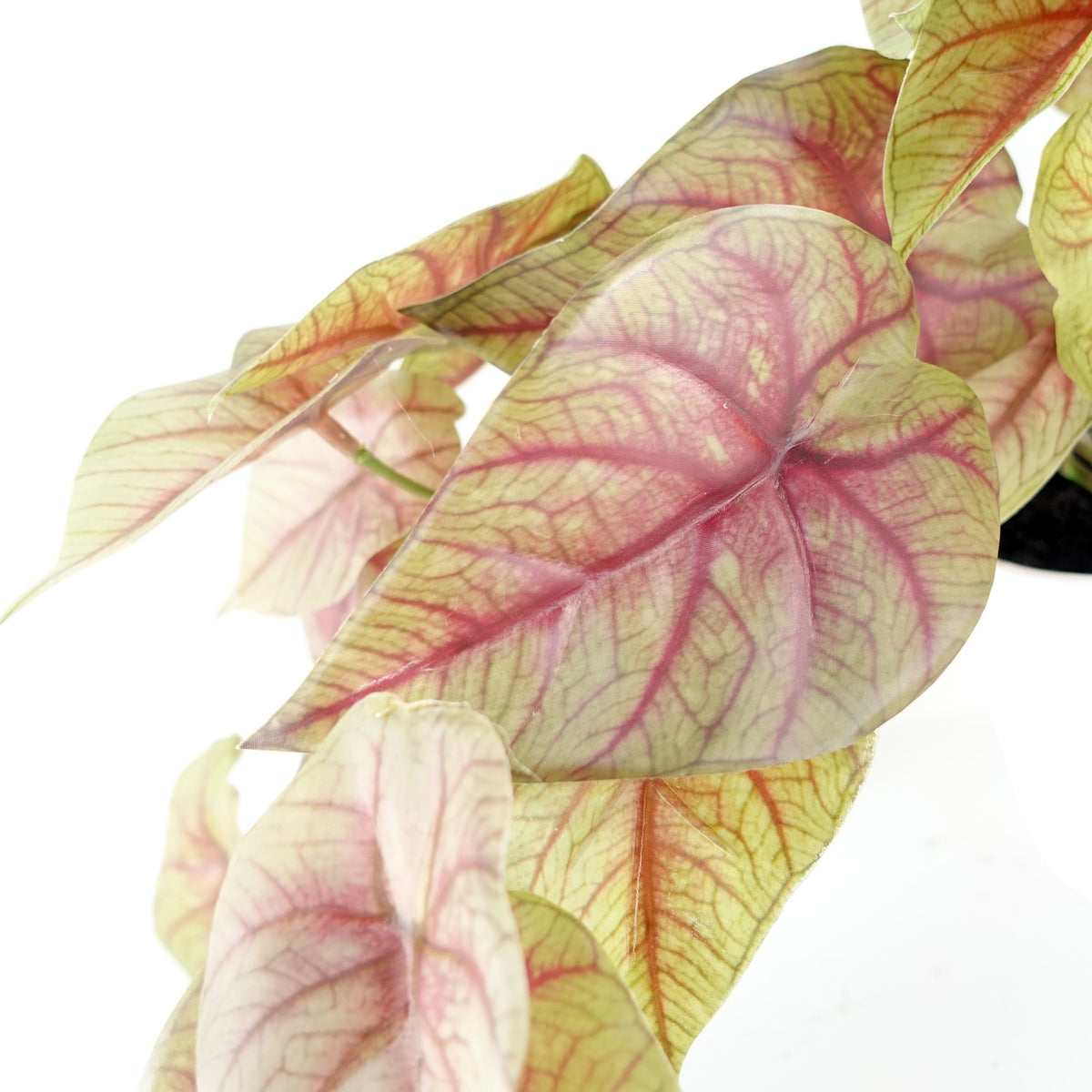 30cm Artificial Pink Caladium Potted Trailing Plant – image 3