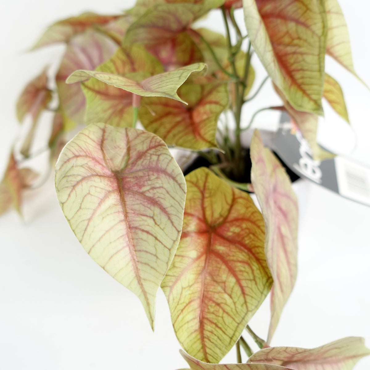 30cm Artificial Pink Caladium Potted Trailing Plant – image 2