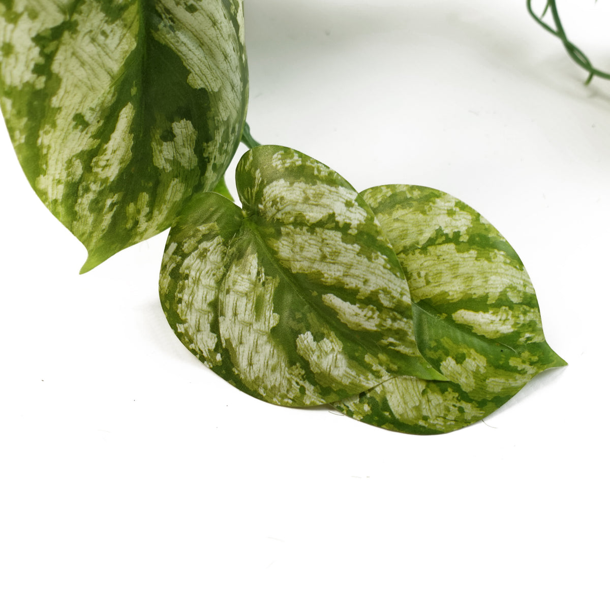 35cm Artificial Trailing Light Green Plant – image 3