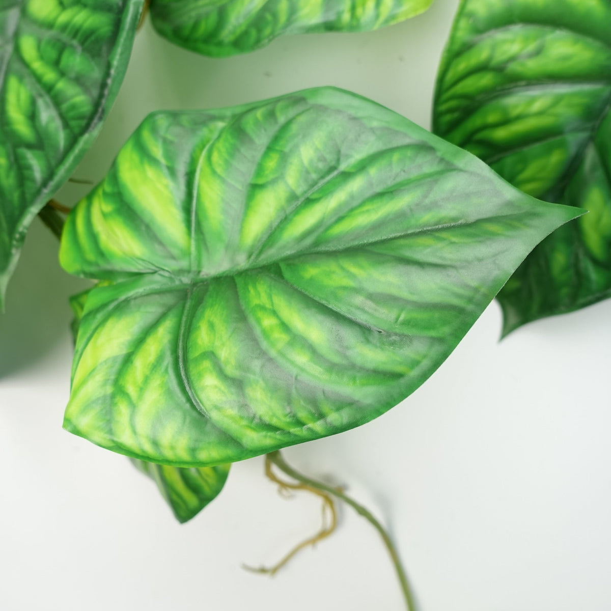 120cm Artificial Hanging Trailing Plant Alocasia Dragon Scale – image 13