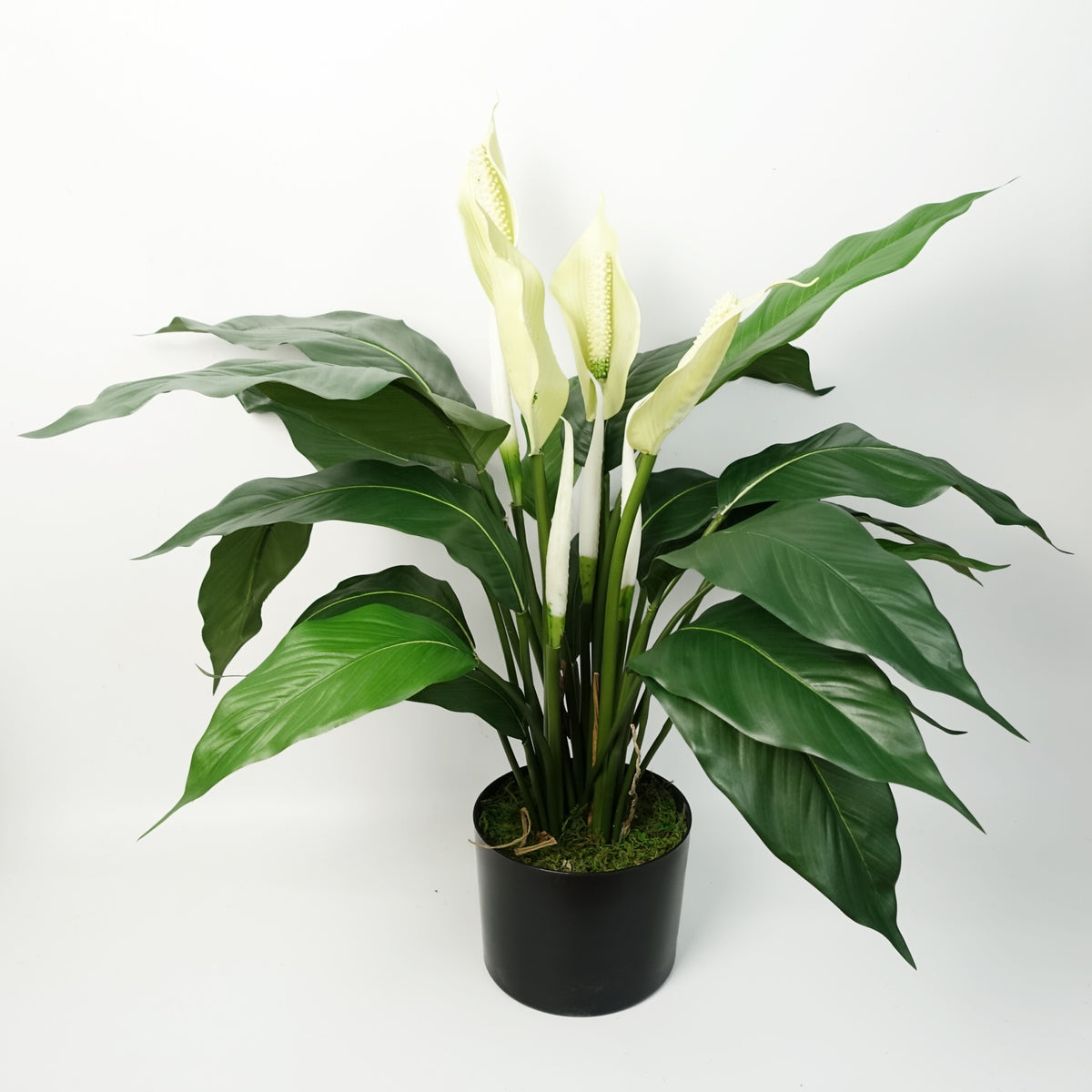 Artificial Peace Lily White Spathiphyllum – image 3