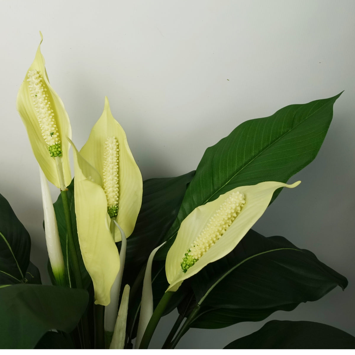 Artificial Peace Lily White Spathiphyllum – image 4