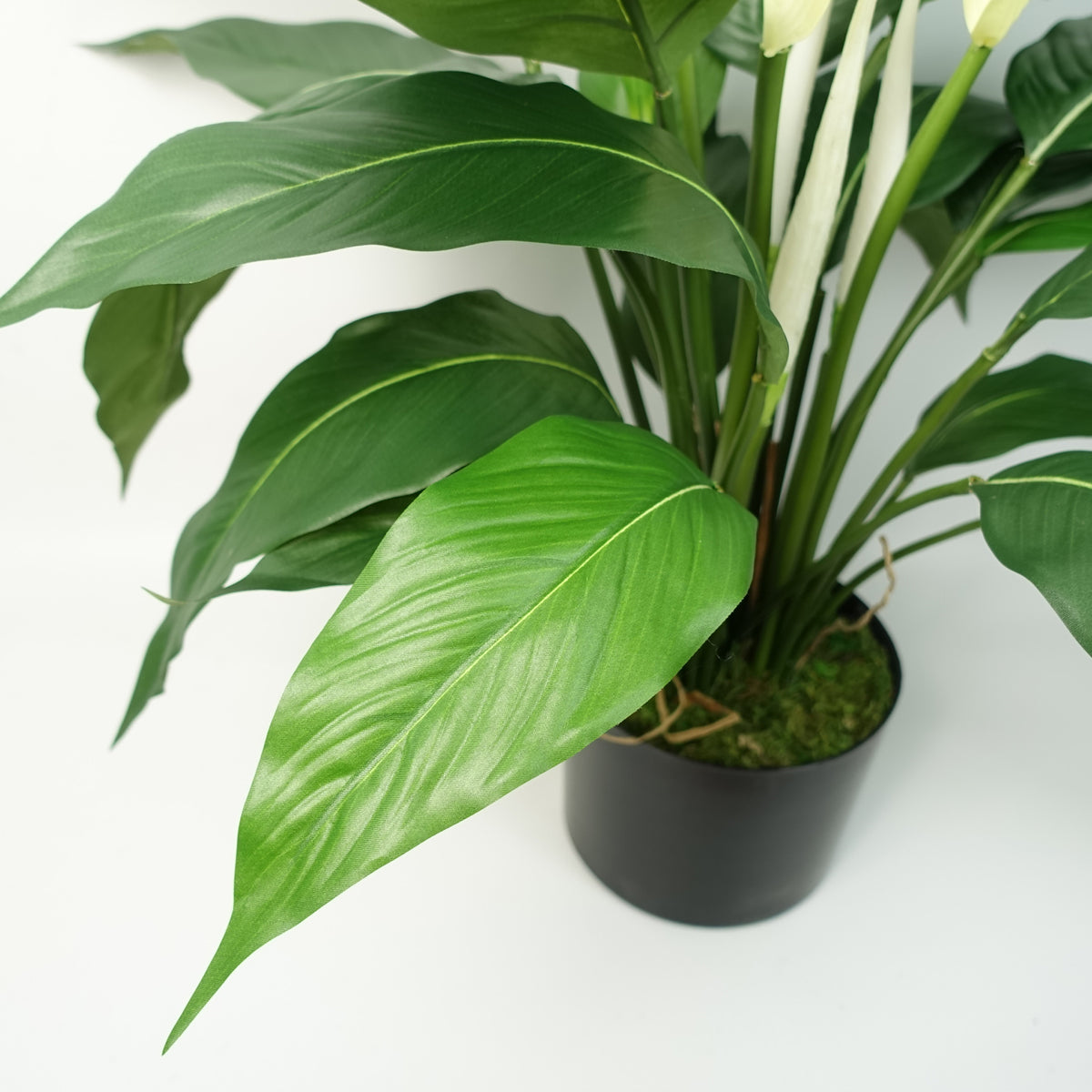 Artificial Peace Lily White Spathiphyllum – image 5