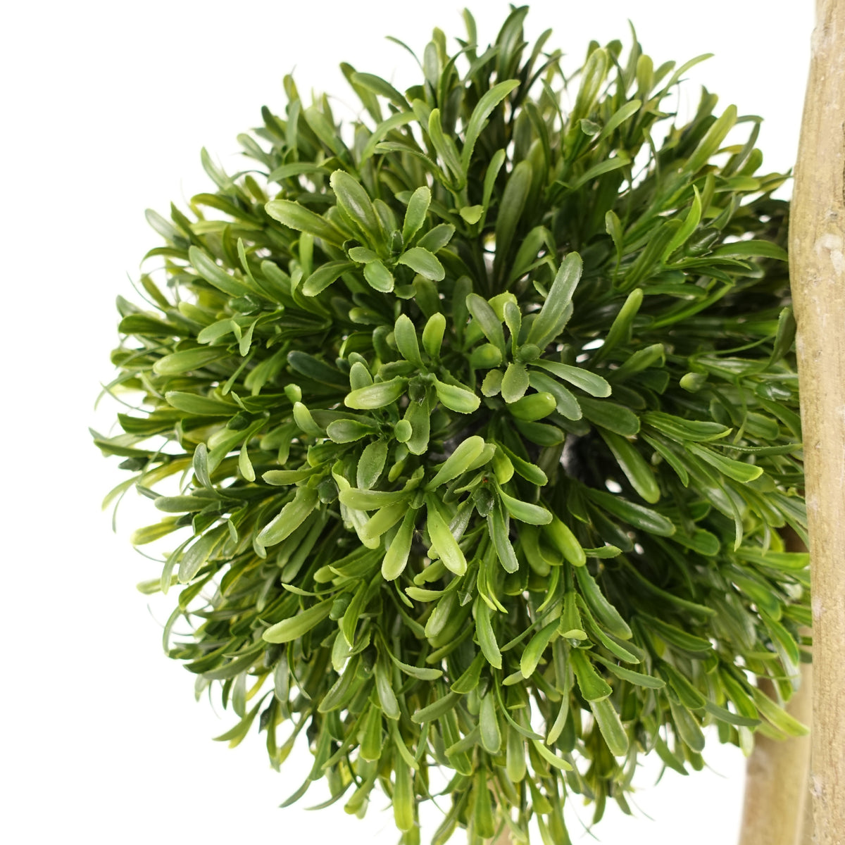 120cm UV Resistant Artificial Balls Topiary - 480 Leaves - Natural Trunk – image 3