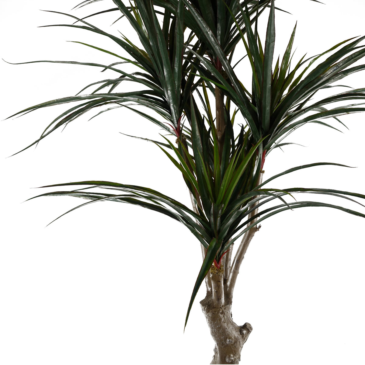 120cm UV Resistant Artificial Yucca - 238 Leaves – image 6