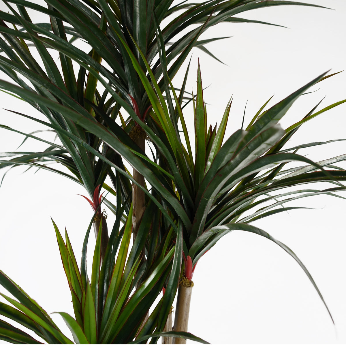 120cm UV Resistant Artificial Yucca - 238 Leaves – image 2