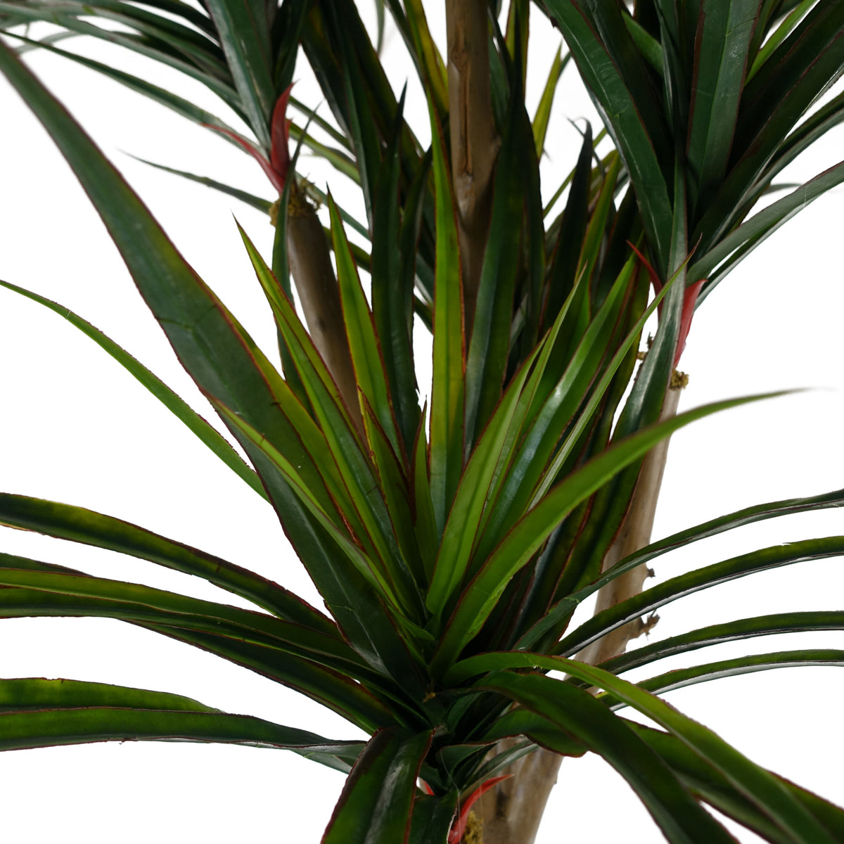 120cm UV Resistant Artificial Yucca - 238 Leaves – image 3