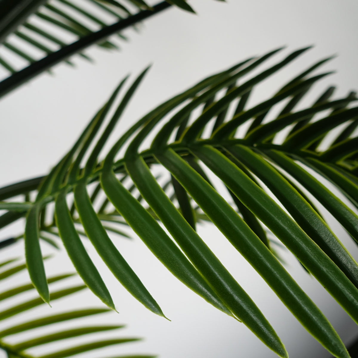 125cm UV Resistant Artificial Raphis Palm Tree with Natural Trunk – image 6