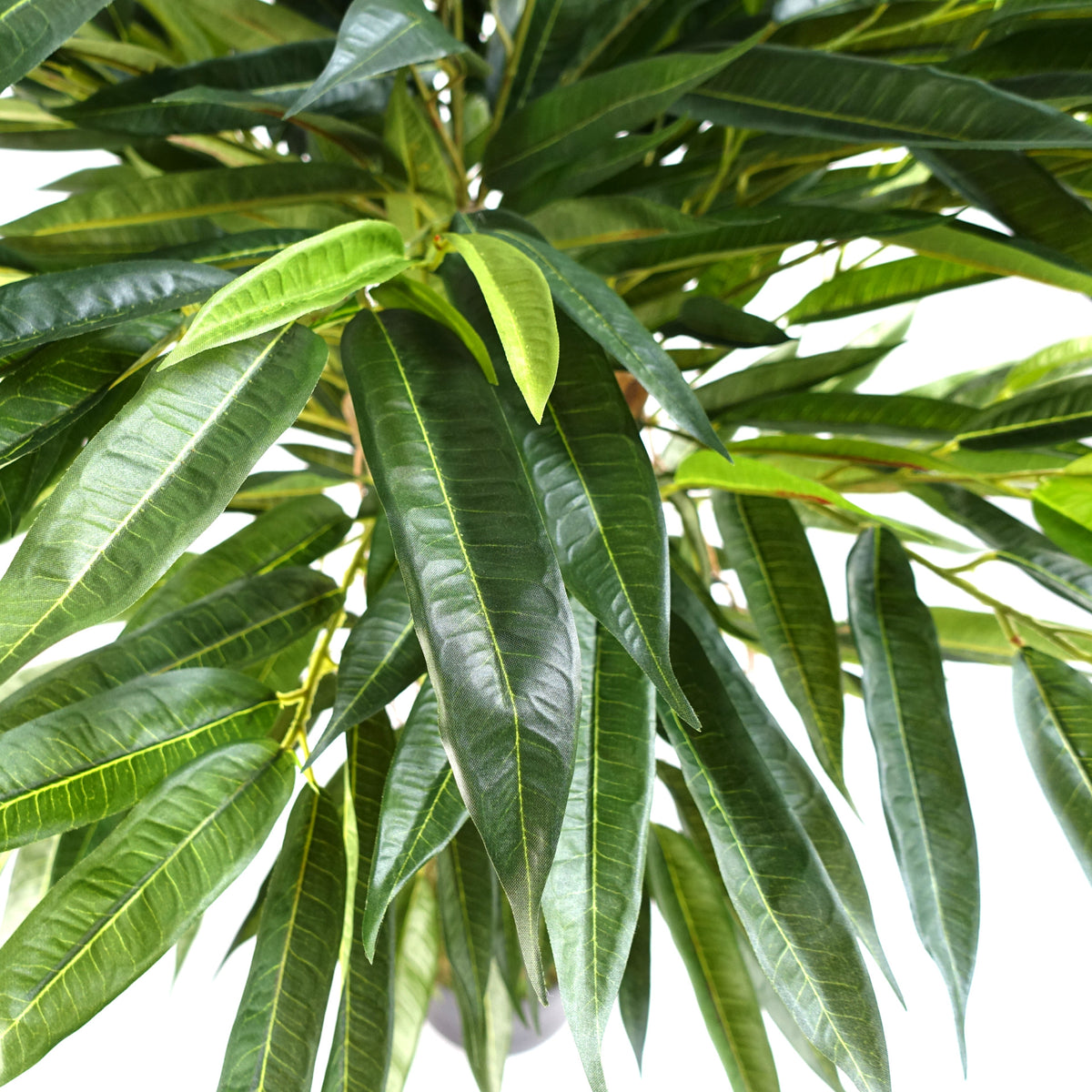 100cm Longifolia Ficus Tree Artificial Natural Trunk – image 3