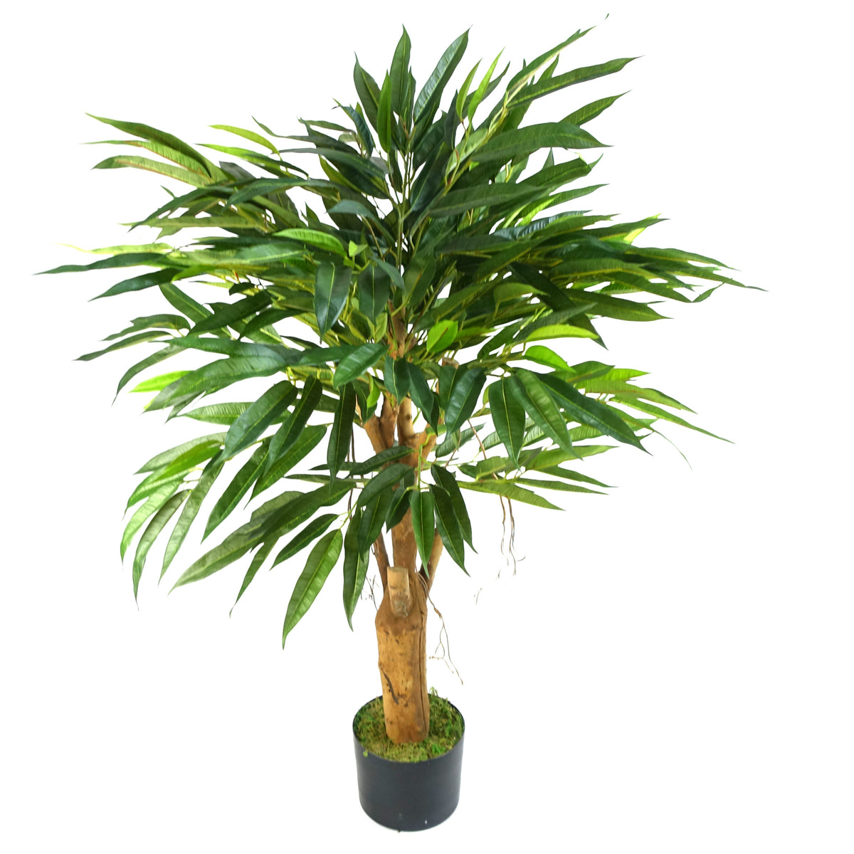 100cm Longifolia Ficus Tree Artificial Natural Trunk – image 7