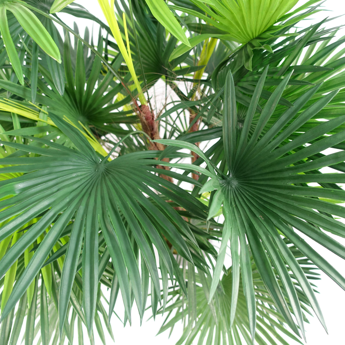 90cm Fan Palm Artificial Tree – image 3