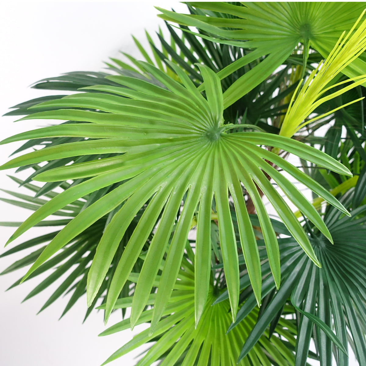90cm Fan Palm Artificial Tree – image 4