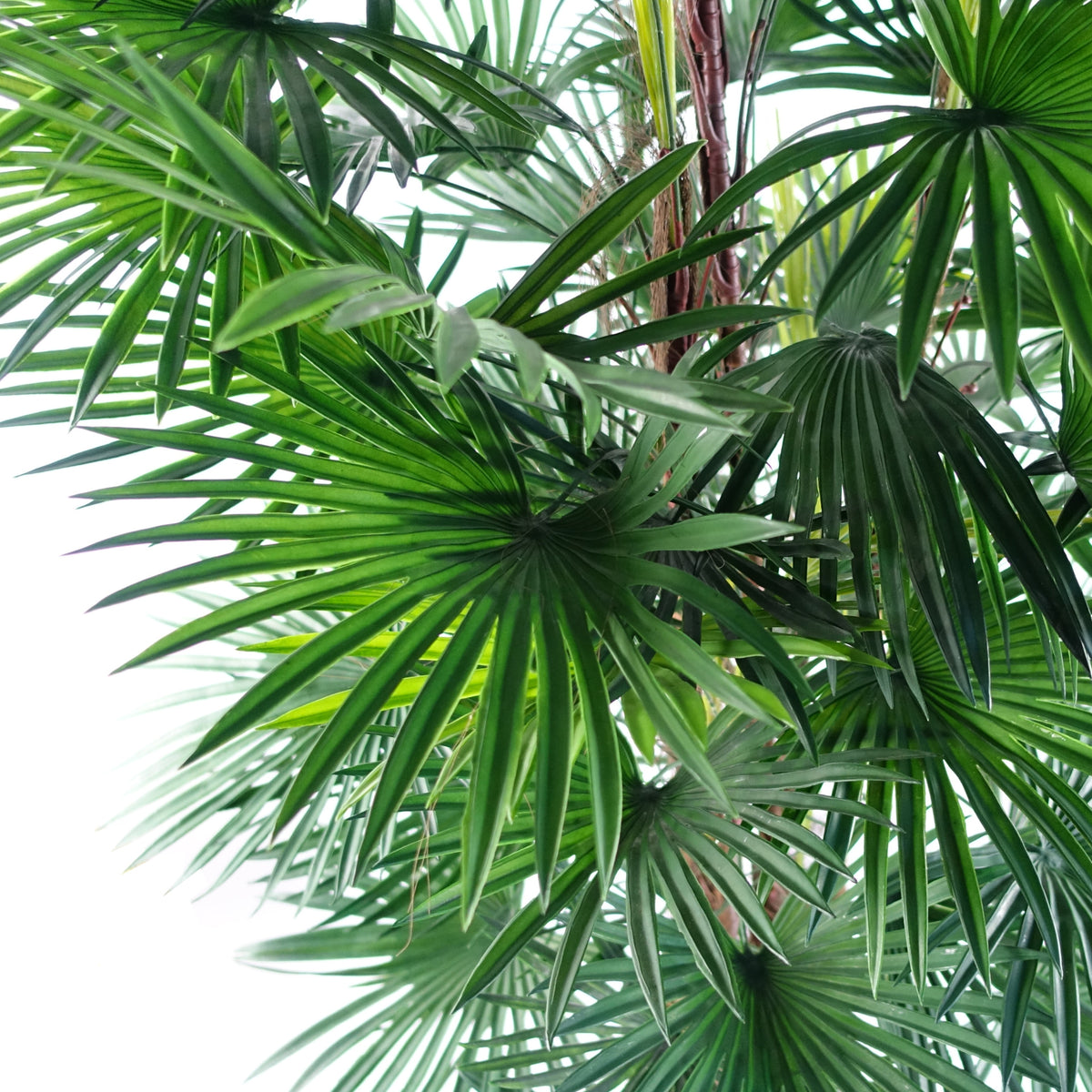 120cm Fan Palm Artificial Tree – image 2