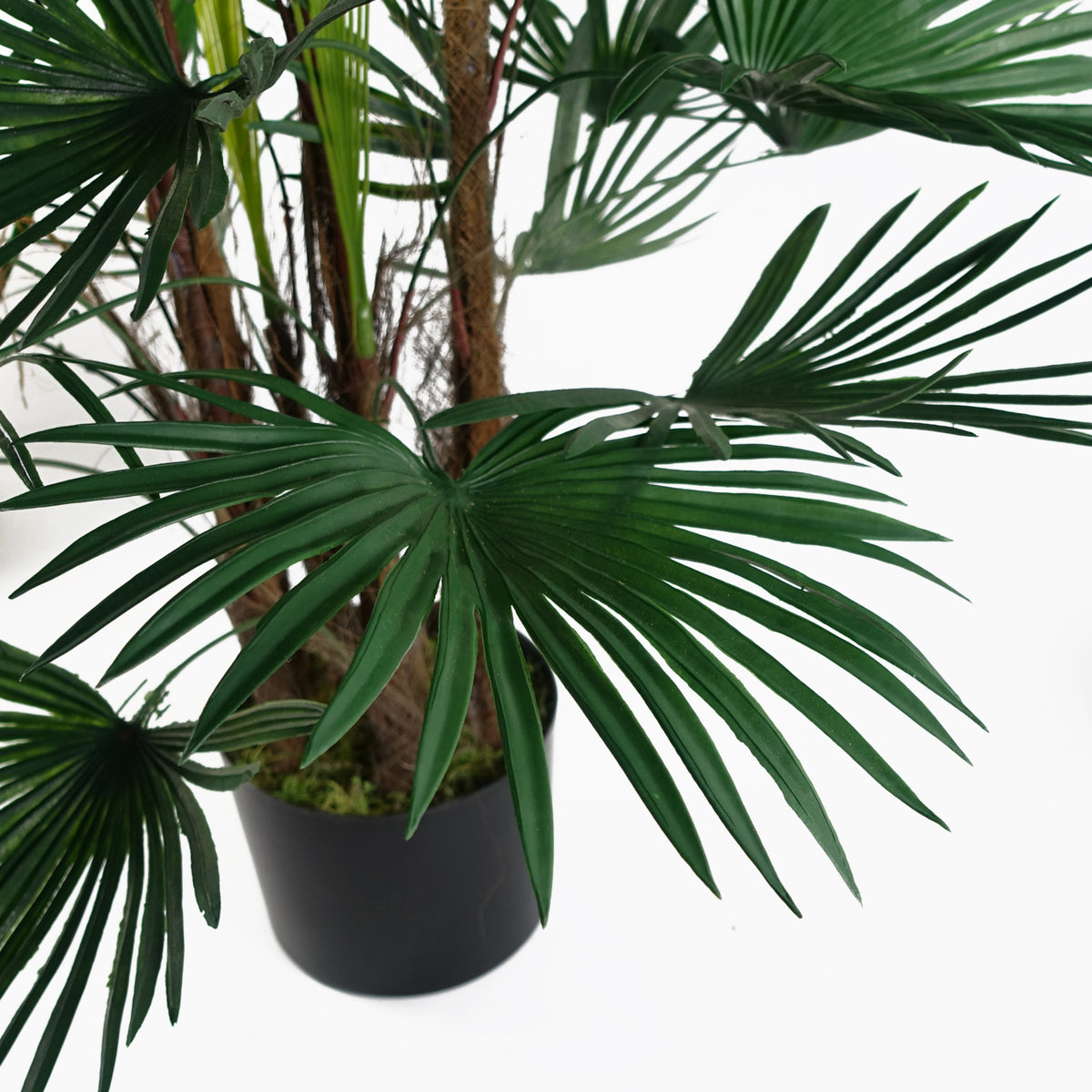 120cm Fan Palm Artificial Tree – image 3