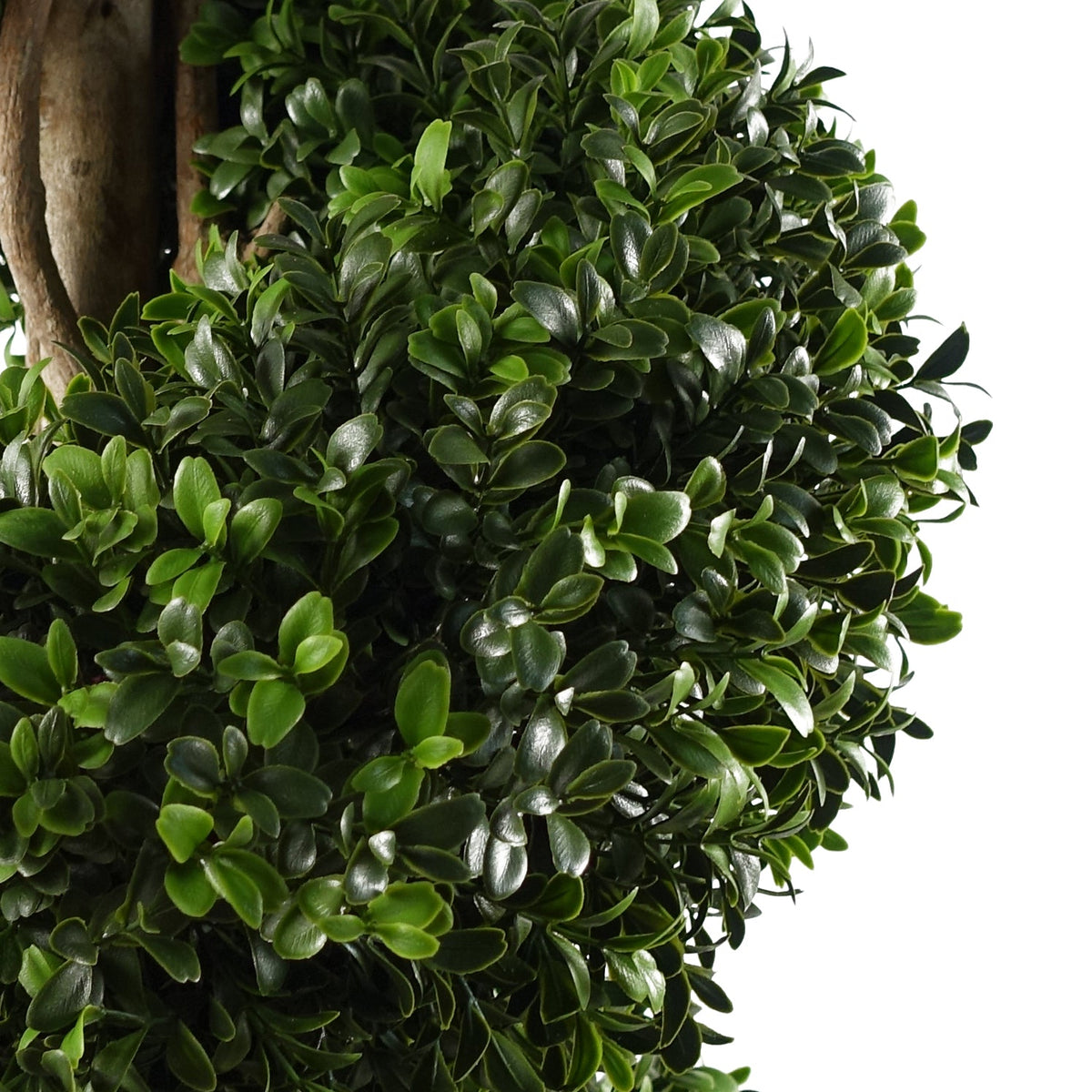 Large Spiral Buxus Artificial Topiary Tree UV Resistant Outdoor – image 10