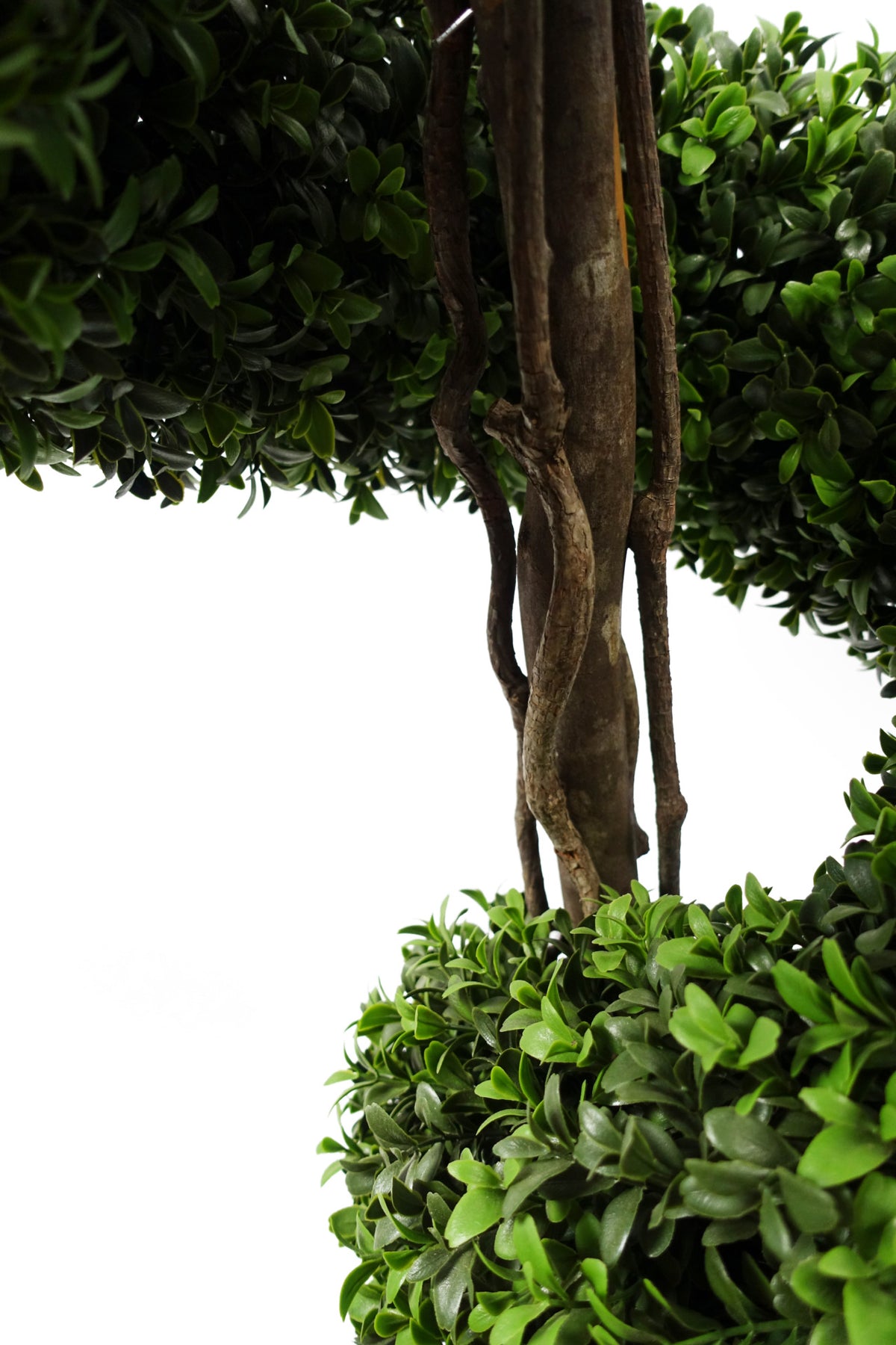 Large Spiral Buxus Artificial Topiary Tree UV Resistant Outdoor – image 3