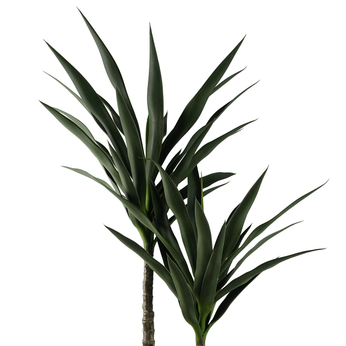 120cm Artificial Yucca Tree UV Resistant Outdoor – image 4