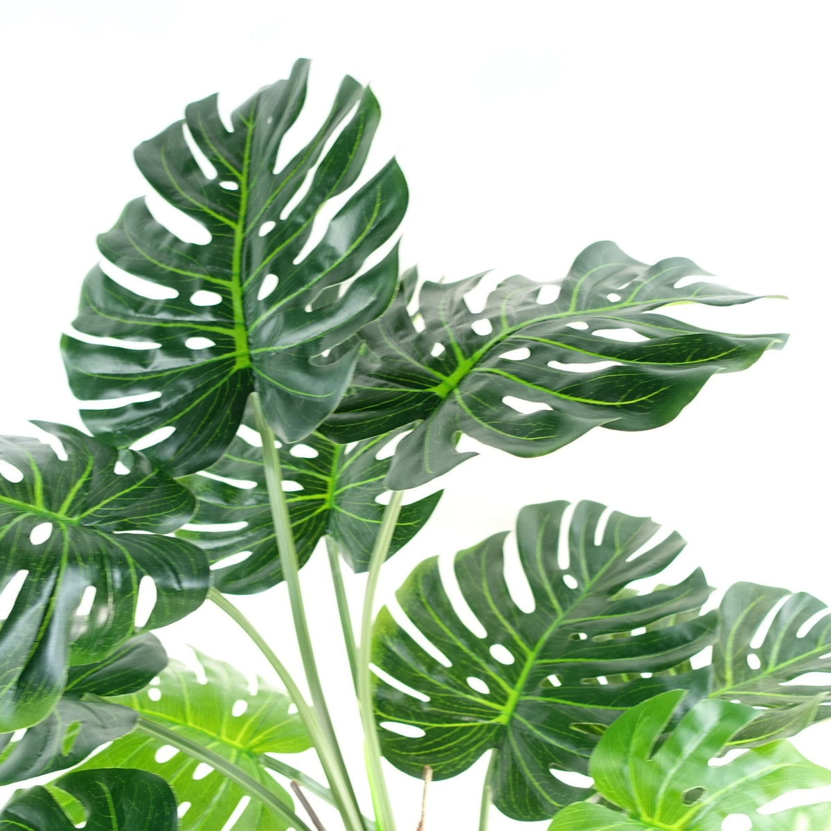 150cm (5ft) Luxury Artificial Monstera Plant Black Pot – image 12