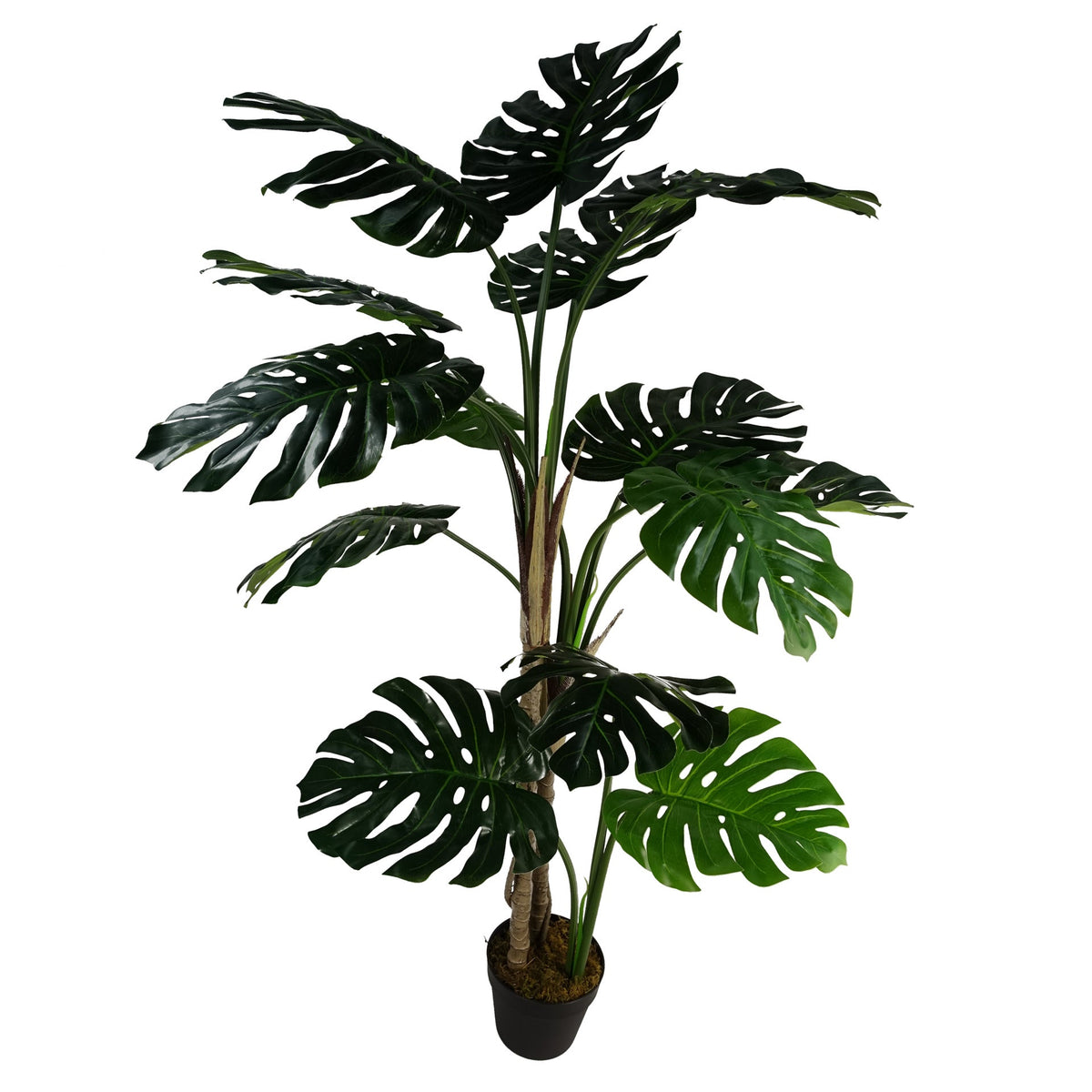150cm (5ft) Luxury Artificial Monstera Plant Black Pot – image 17