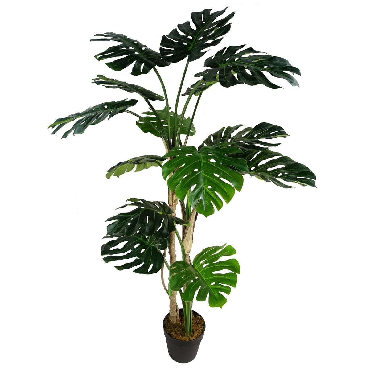 150cm (5ft) Luxury Artificial Monstera Plant Black Pot – image 3