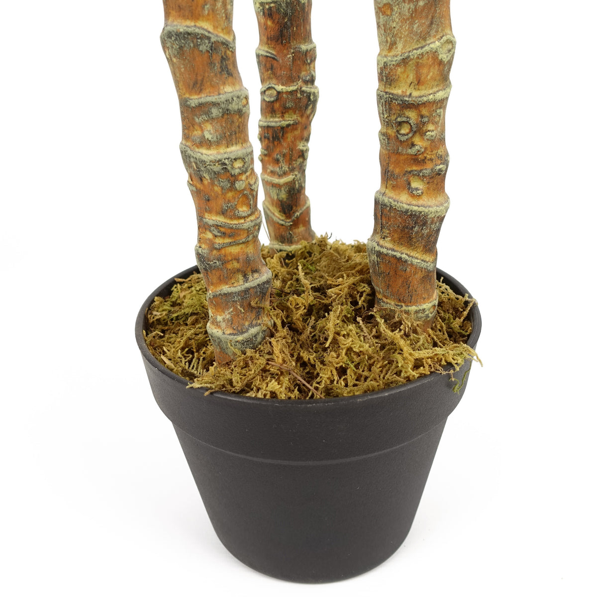 170cm Artificial XL Triple Yucca Tree Plant Spiky Tree Plant Realistic – image 5