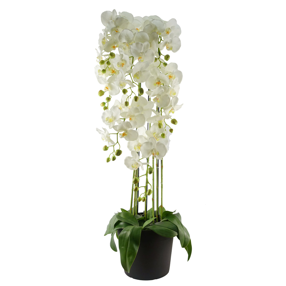 110cm Large White Orchid Plant - Artificial - 41 REAL TOUCH flowers