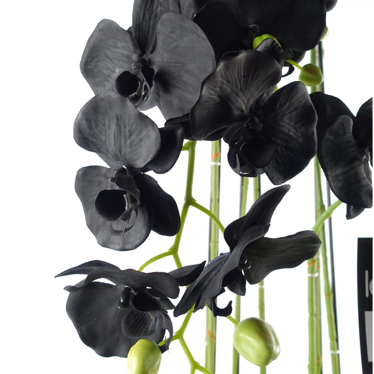 110cm Large Black Orchid Plant - Artificial - 41 REAL TOUCH flowers – image 3