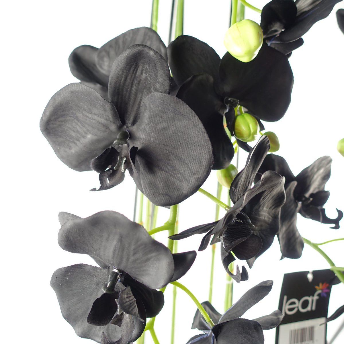 110cm Large Black Orchid Plant - Artificial - 41 REAL TOUCH flowers – image 4