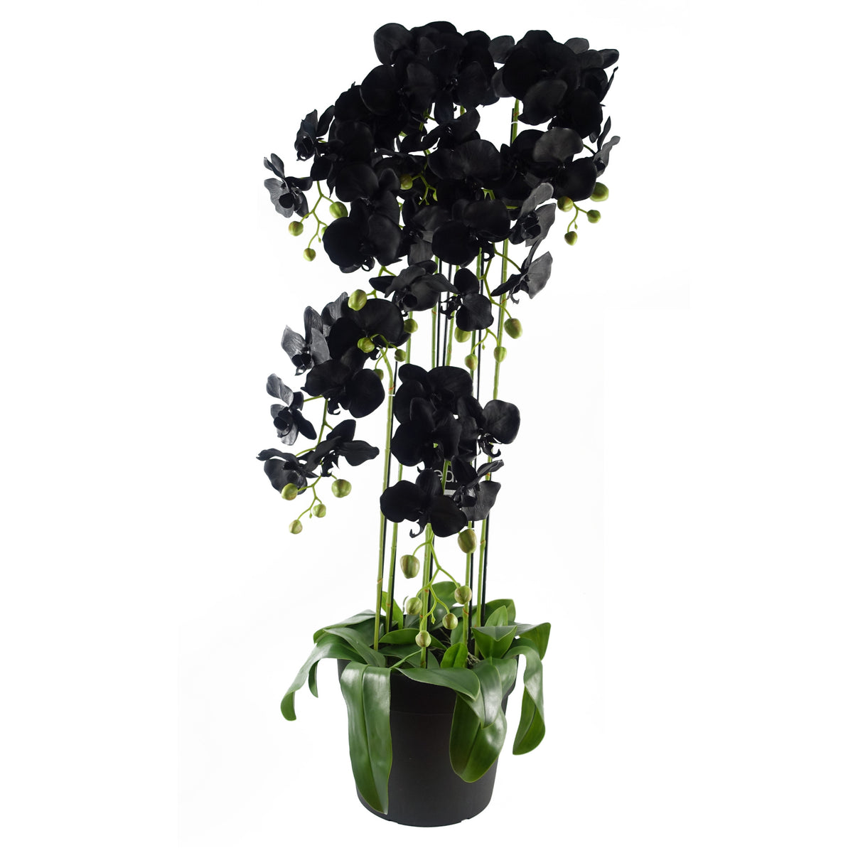 110cm Large Black Orchid Plant - Artificial - 41 REAL TOUCH flowers