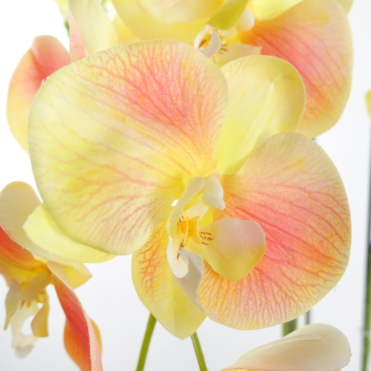 110cm Large Yellow Peach Orchid Plant - Artificial - 41 REAL TOUCH flowers – image 4