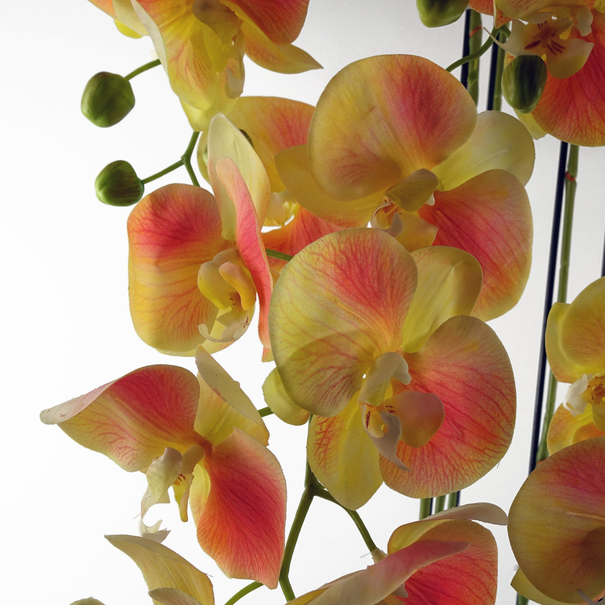 110cm Large Yellow Peach Orchid Plant - Artificial - 41 REAL TOUCH flowers – image 5