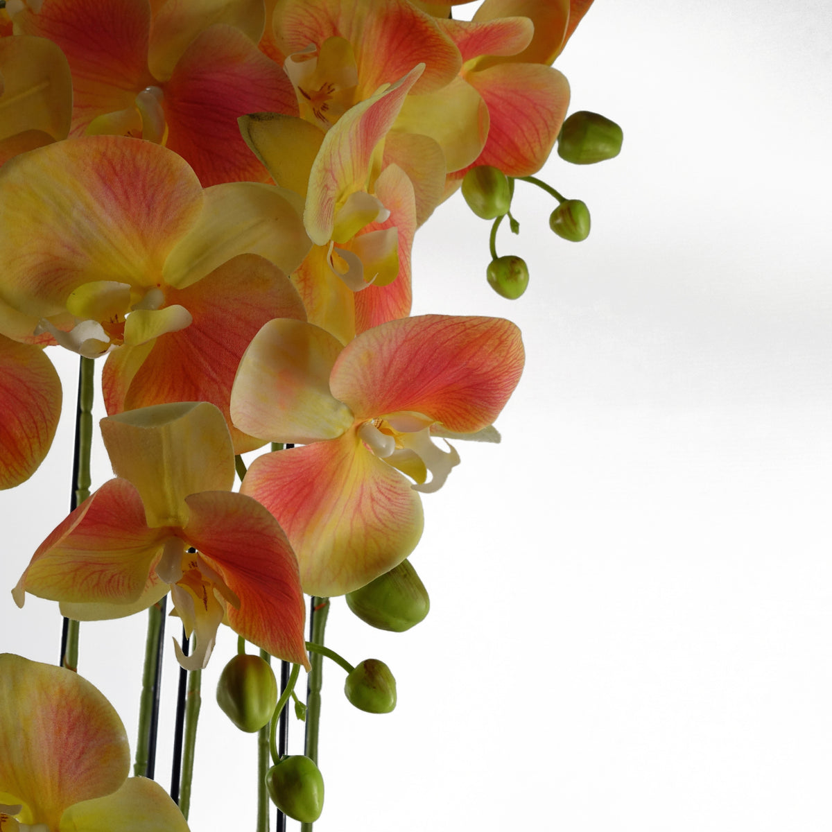 110cm Large Yellow Peach Orchid Plant - Artificial - 41 REAL TOUCH flowers – image 6