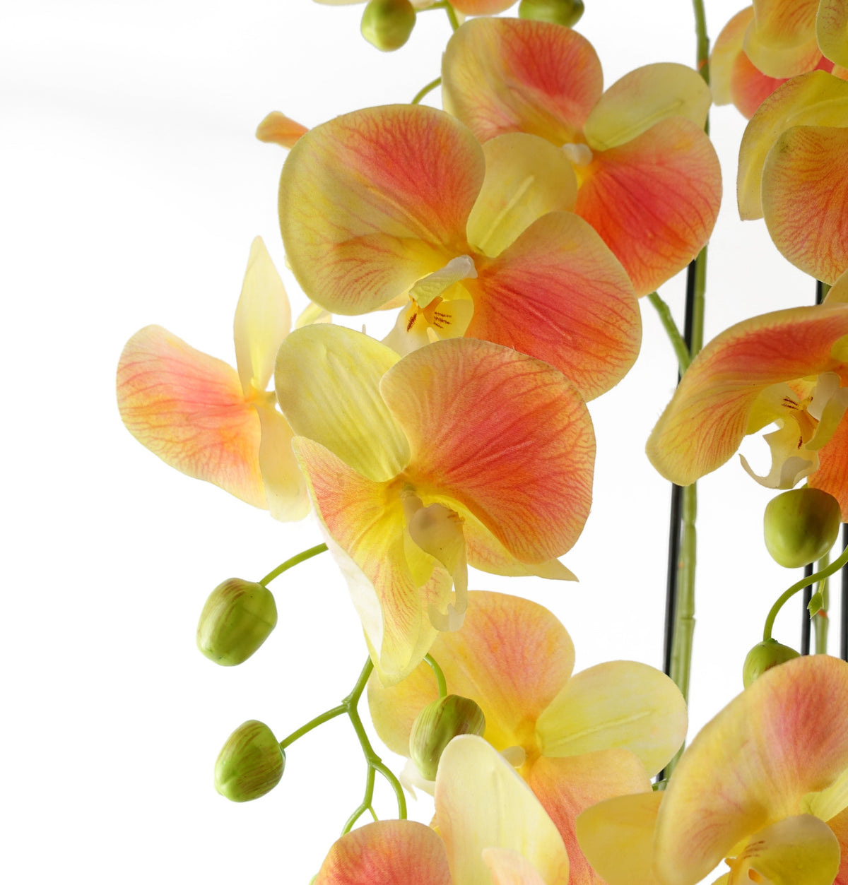 110cm Large Yellow Peach Orchid Plant - Artificial - 41 REAL TOUCH flowers – image 3