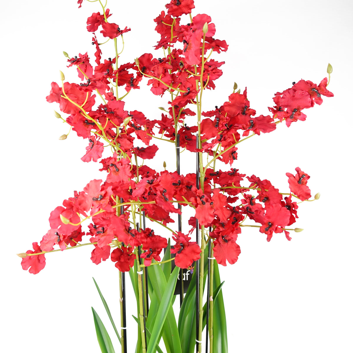 90cm Oncidium Artificial Orchid Red in Stoneware Planter – image 3