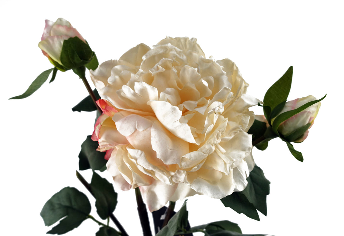 60cm Peony Artificial Flower Stems – image 5