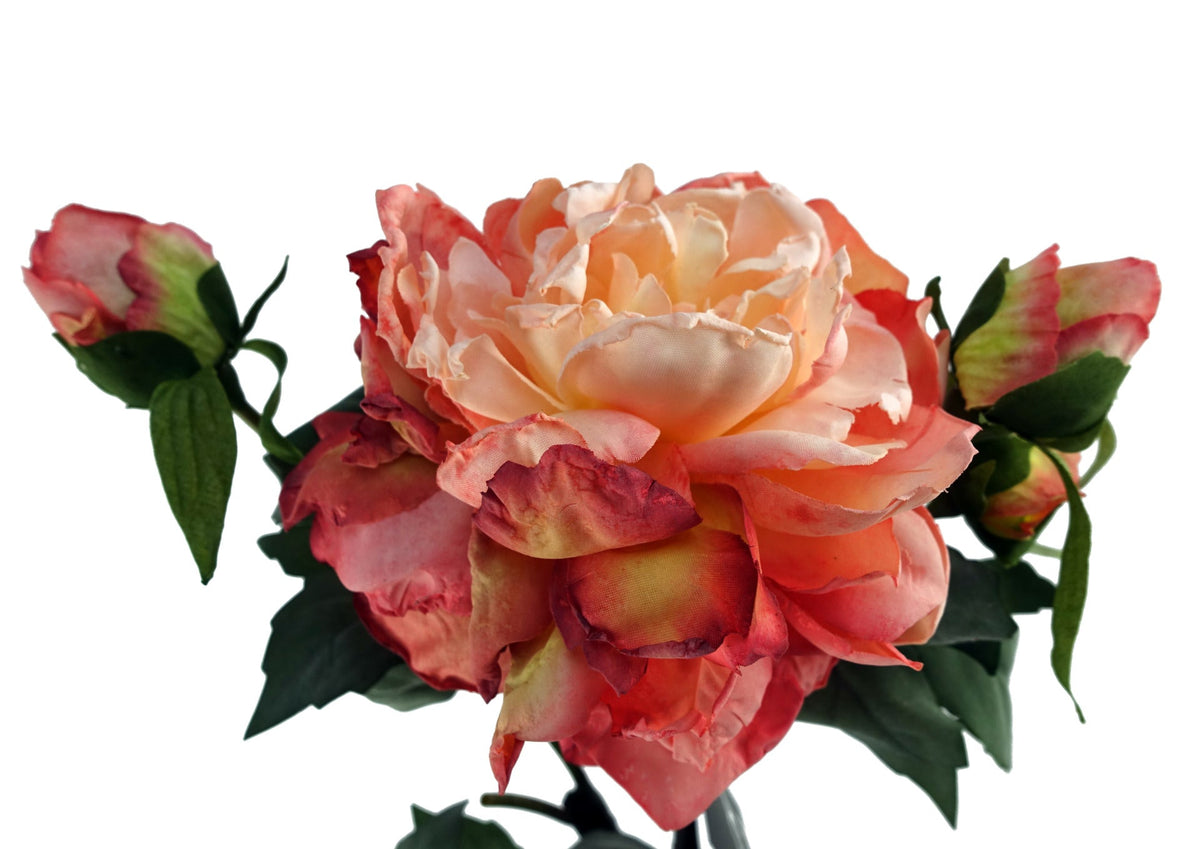 60cm Peony Artificial Flower Stems – image 13