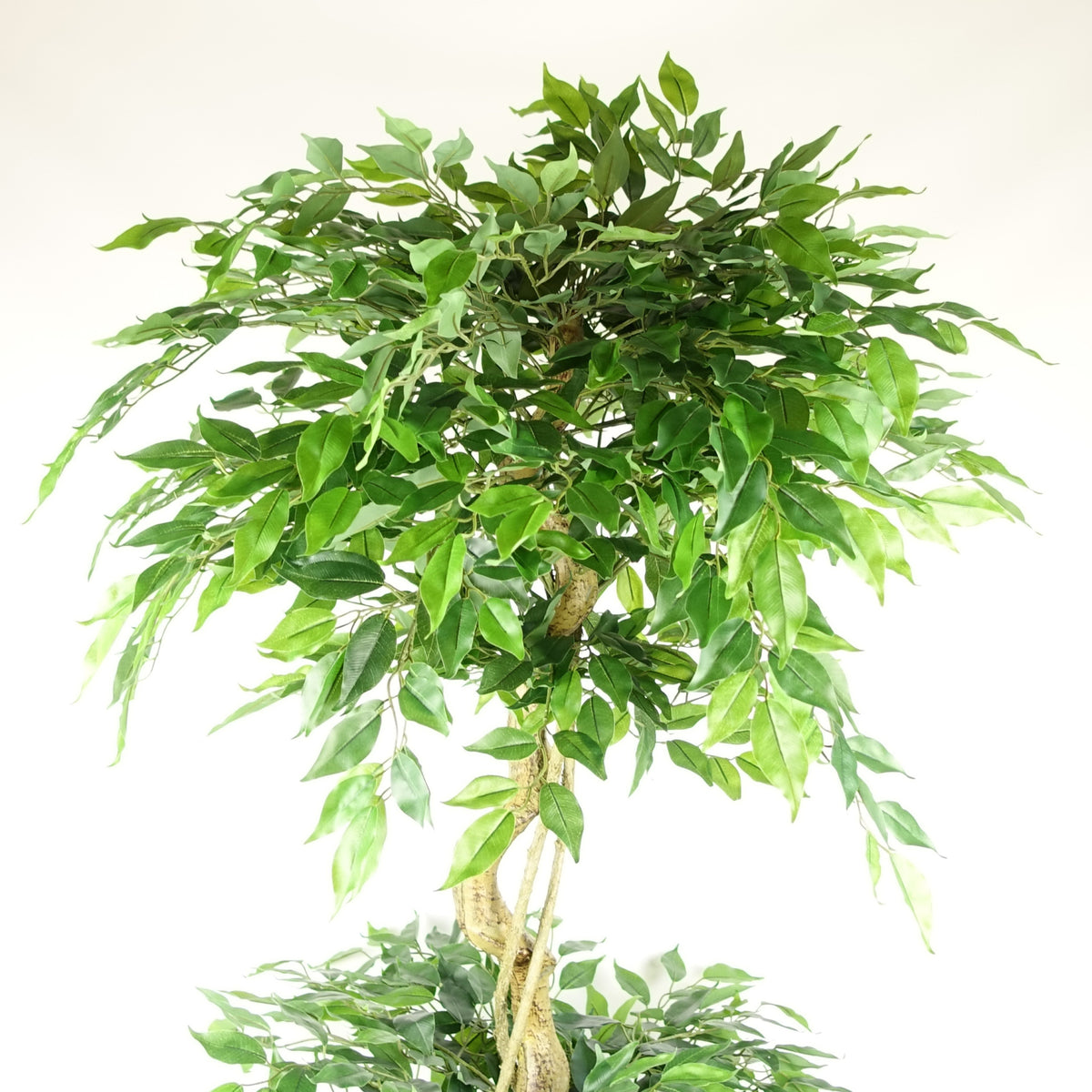180cm Artificial Twisted Trunk Fruticosa Ficus Tree Triple Ball Topiary 1984 Leaves – image 6