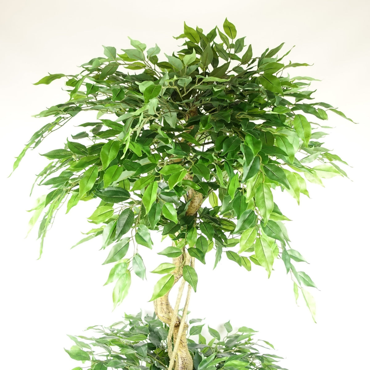 180cm Artificial Twisted Trunk Fruticosa Ficus Tree Triple Ball Topiary 1984 Leaves – image 9