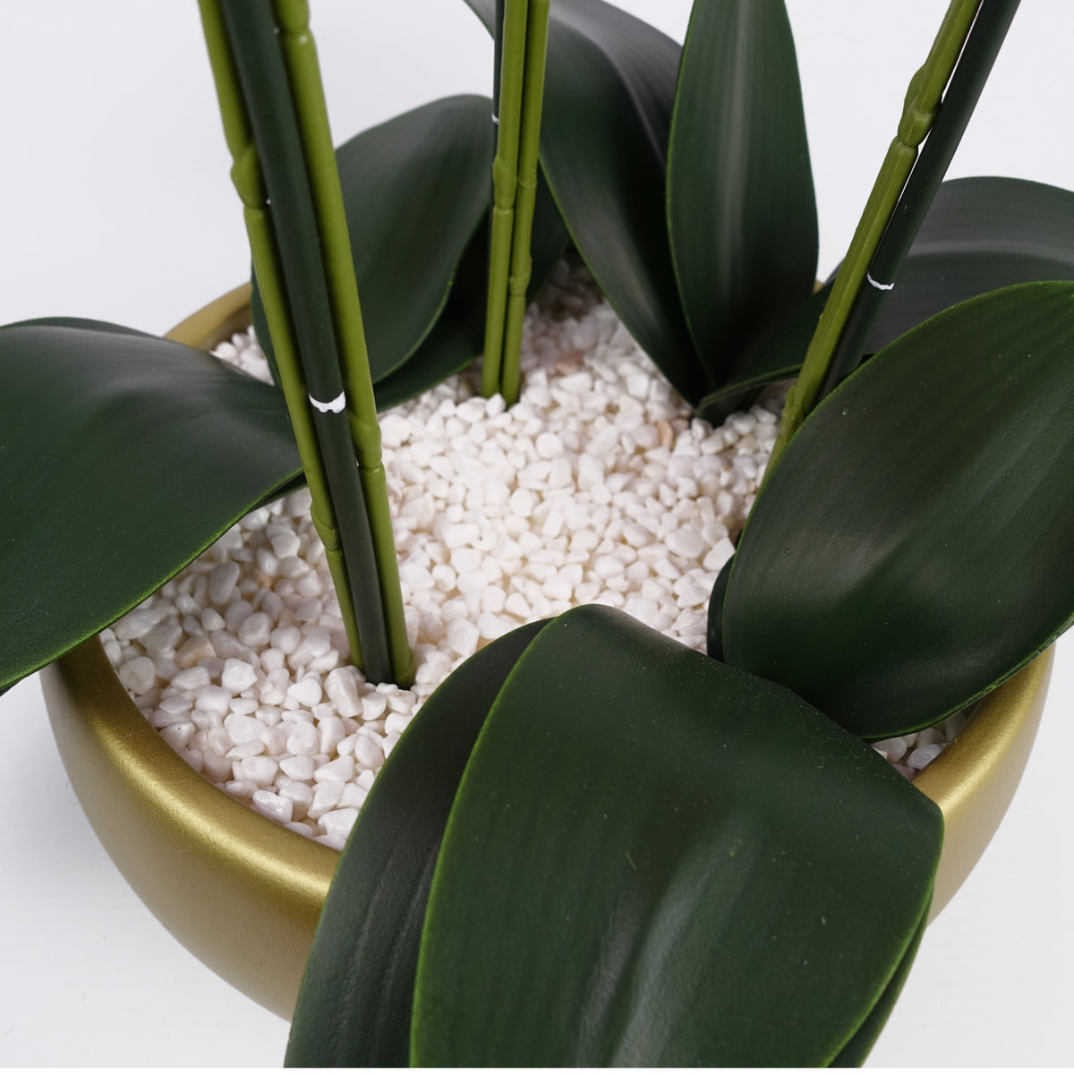 60cm Orchid Artificial White - Gold Ceramic Planter – image 7