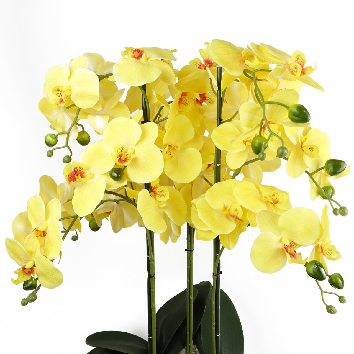 60cm Orchid Artificial Yellow - Black Ceramic Planter – image 2
