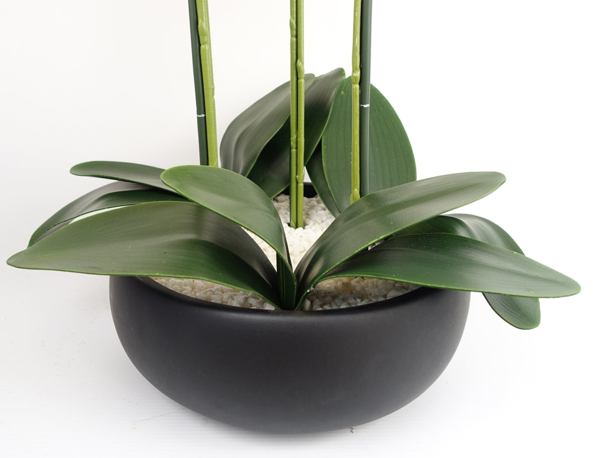 60cm Orchid Artificial White - Black Ceramic Planter – image 6