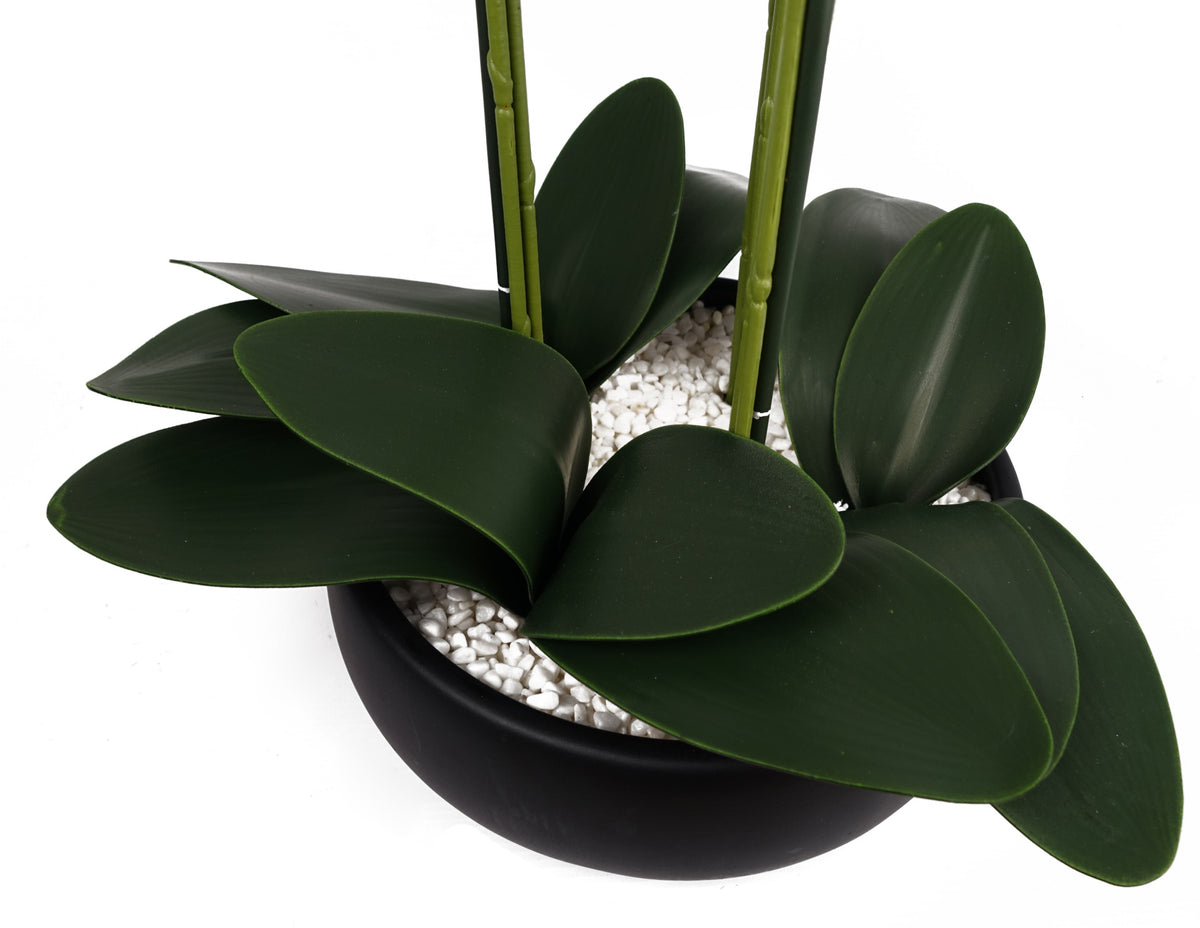 60cm Orchid Artificial White - Black Ceramic Planter – image 5