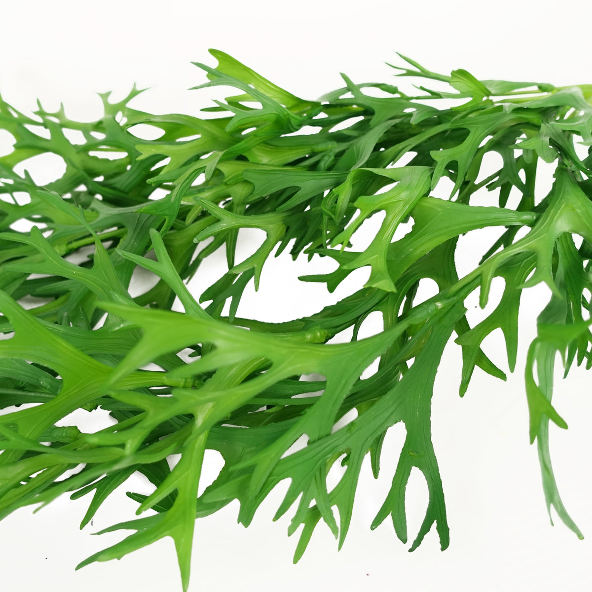 80cm Hanging Artificial Staghorn Fern – image 3
