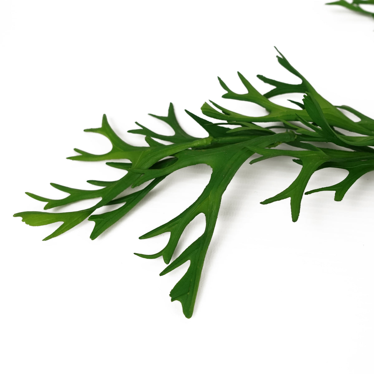 80cm Hanging Artificial Staghorn Fern – image 2