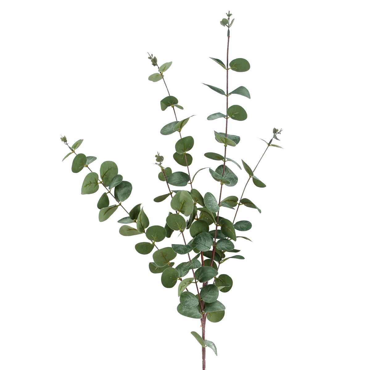 Faux Artificial Eucalyptus Foliage Stems – image 2