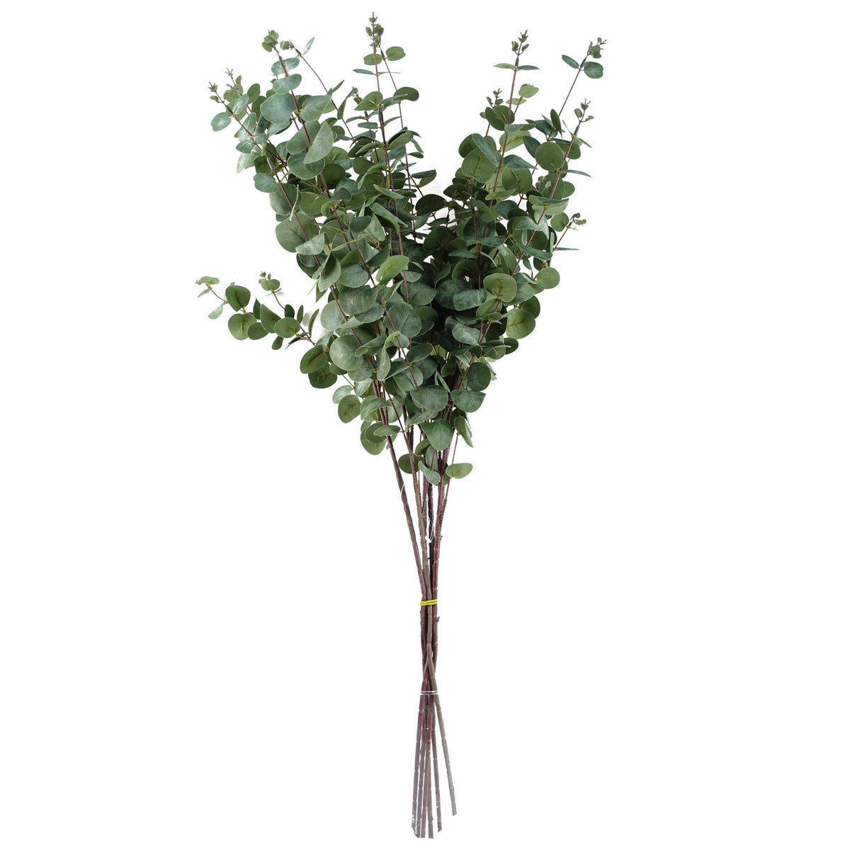 Faux Artificial Eucalyptus Foliage Stems – image 38